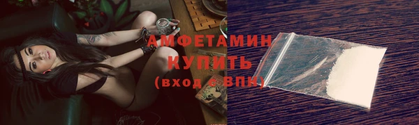 индика Богданович